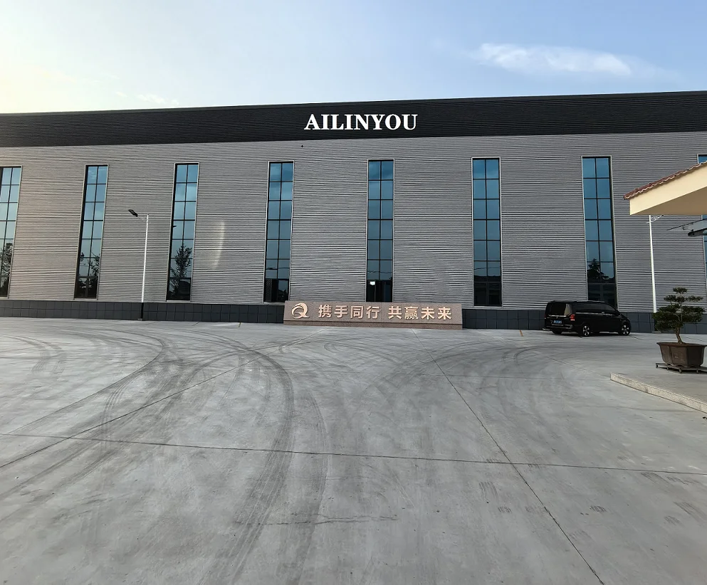 Chongqing Ailinyou Technology Co., Ltd. 2