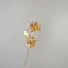 Epiphyllum