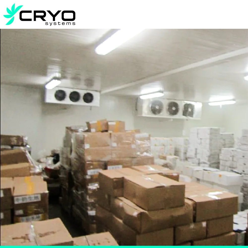 Cold Room for Poultry Meat specialized Butchery Cold Room Suitable Freezer for Cold Room