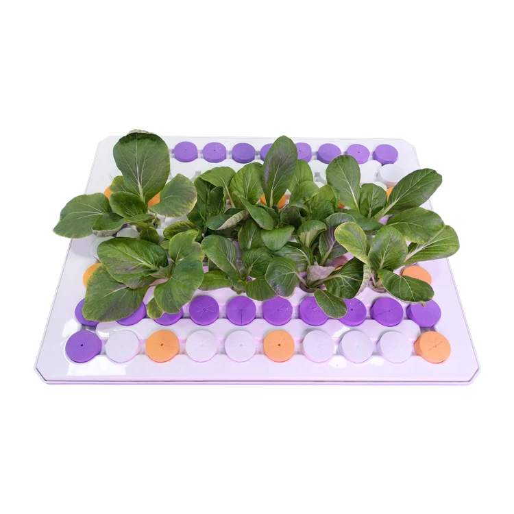 In Stock  Hydroponic Cloner Aeroponic Tray Commercial Hydroponic Cloning Machines 80 Site Grow Tray System