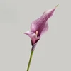 60cm Purple