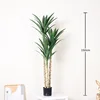 New white-stemmed green sisal - 150cm