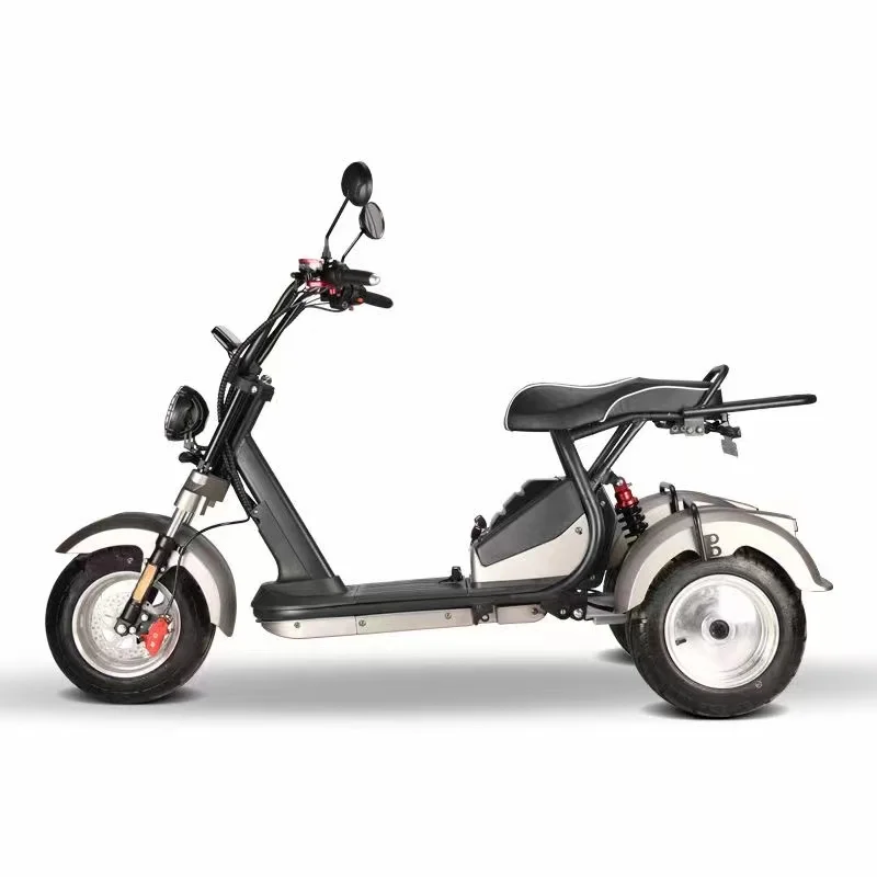 Electric Trike 3 Wheel Electric Citycoco E Scooter Adults 3000W 2000W E Scooter Three Wheel Scooter