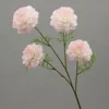 Hibiscus carnation 1 branch