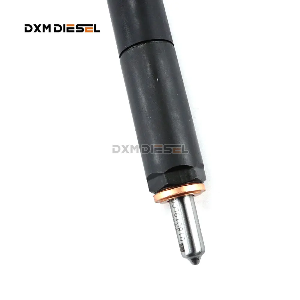 DXM New Common Rail Injector EJBR05501D/33800-4X450 details