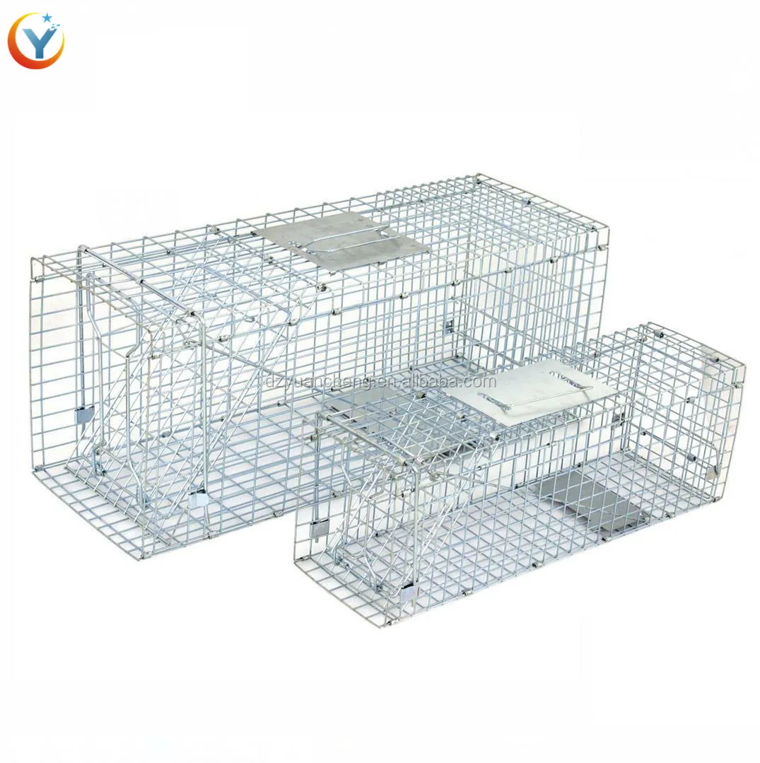 ZENY 32 L Humane Live Animal Trap Cage for Raccoons, Cats