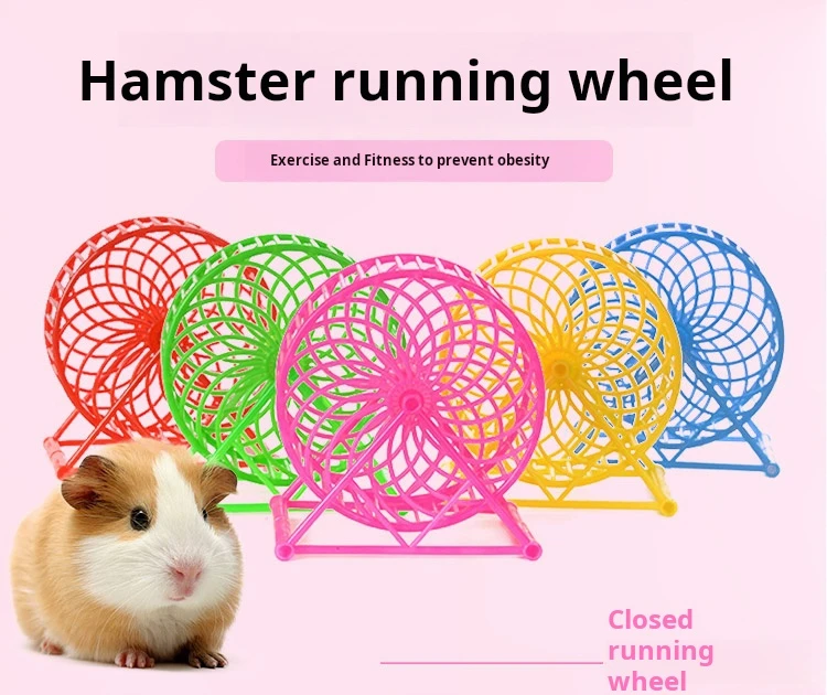 View of Hamster Wheel Bracket - Fun & Safety for Interactive Toys