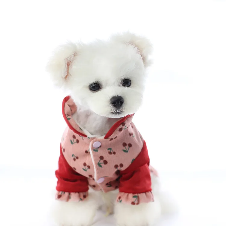 dog cheongsam