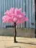 9 สีชมพู