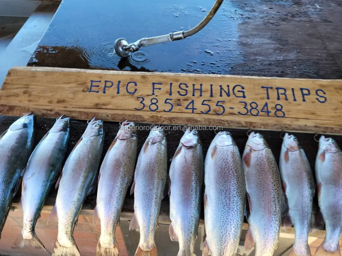 Superiorfishing Marlin Lure Resin Head Trolling Lure Resin Marlin Bait