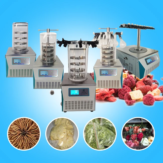 2022 vacuum freeze dryer machine multifunctional