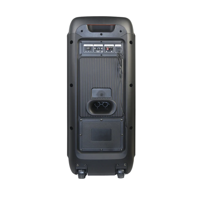 TEMEISHENG TMS-818 - 80W Portable Bluetooth Speaker for Parties