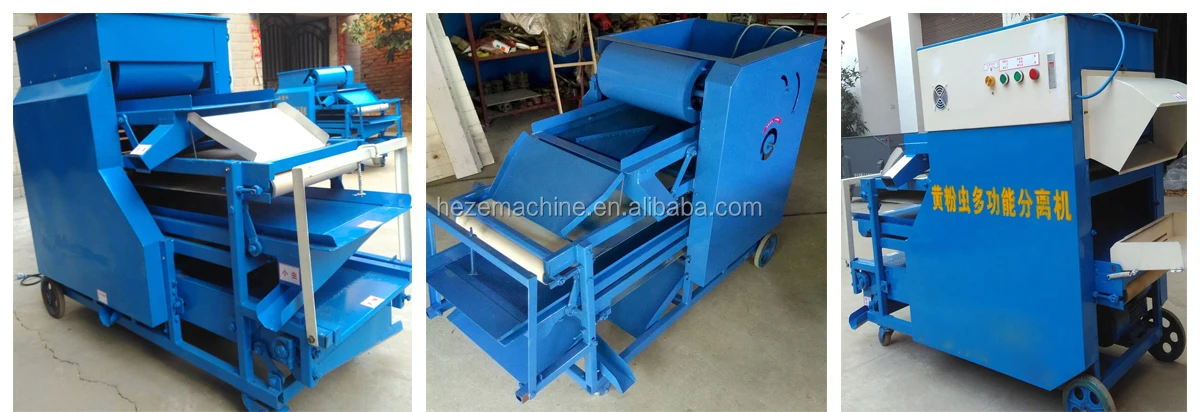 Mealworm Beetle Sorting Machine Flour Weevil Sorting Machine Tenebrio Molitor Selecting Machine