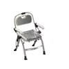 Multi-functional model gary without toilet bowl