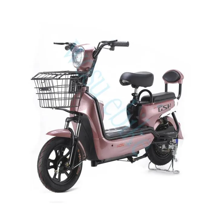 Two Wheel Battery Wala Cycle New Design  Electric Bicycle Price With Pedal Bike for Adult