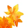 dorato