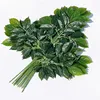 Ejército Green05