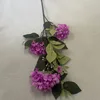 viola chiaro