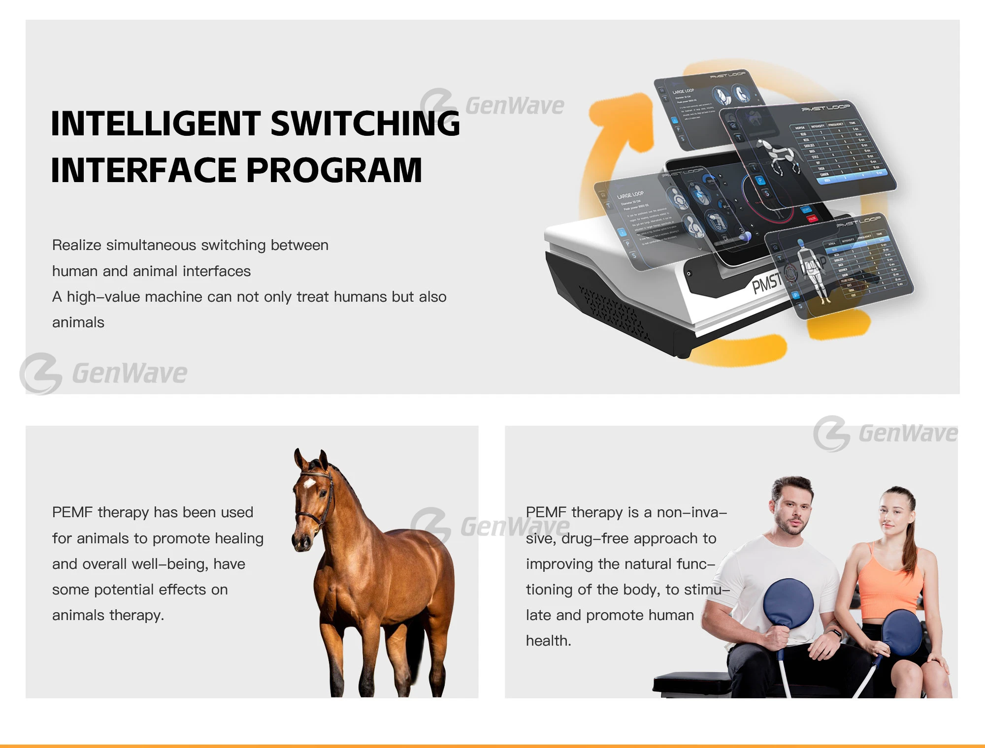 Pemf Equine And Human Pain Relief Machine Pulsed Electromagnetic Field ...