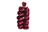 BUG