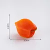 5#Fruit lanterne