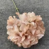 Single branch candy hydrangea shallow coffee
