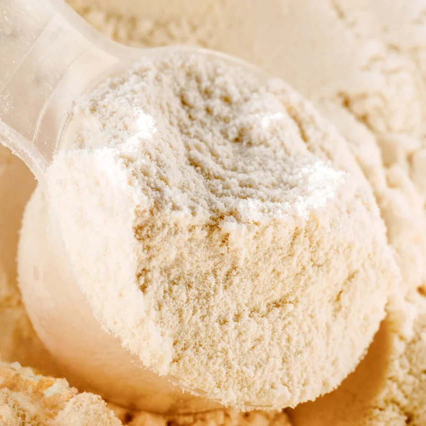 B2B Whey Isolate Protein Powder Manufacturer Hot Sale