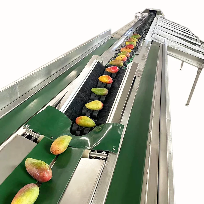 Avocado Automatic Citrus Clam Guava Chicken Bolt Candy mango Fruit Cleaning Sorting Machine
