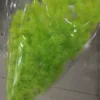 Fruit green