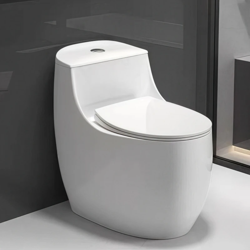 ZOTTO S-Trap One Piece Toilet - Modern, Efficient Sanitary Ware