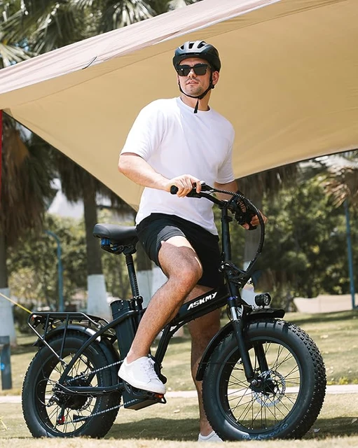 E21 High-Performance Electric Mountain Bike 48V 500W with Steel Frame and Rear Hub Motor Disc Brake 15ah Battery Rear Carrier