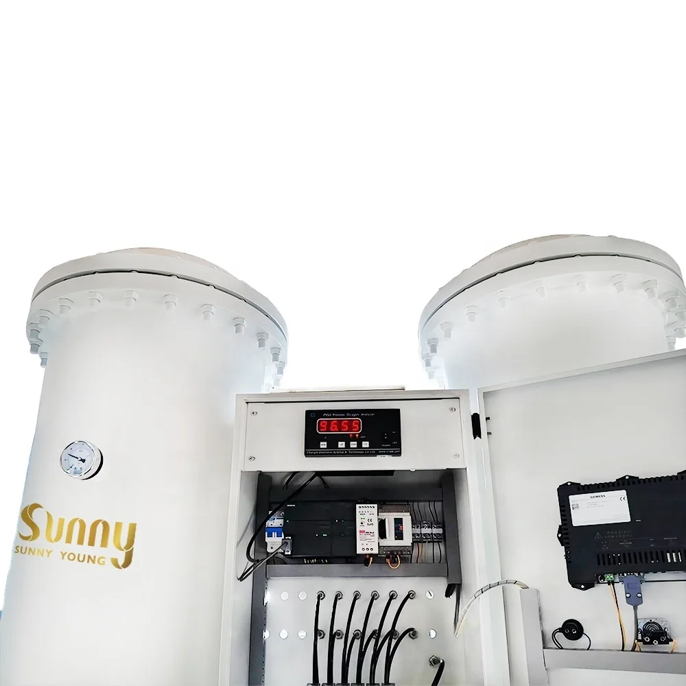 Integrated oxygen compressor solution efficient effective 20Nm3/h O2 filling station nitrogen generator oxygen psa generator