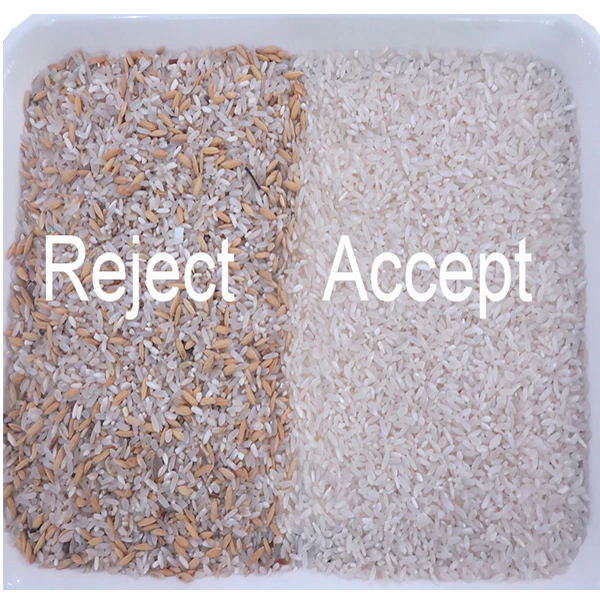 KM Series Sorting Machine High Quality Nuts Color Sorter