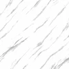 AO-6009   AO-6009