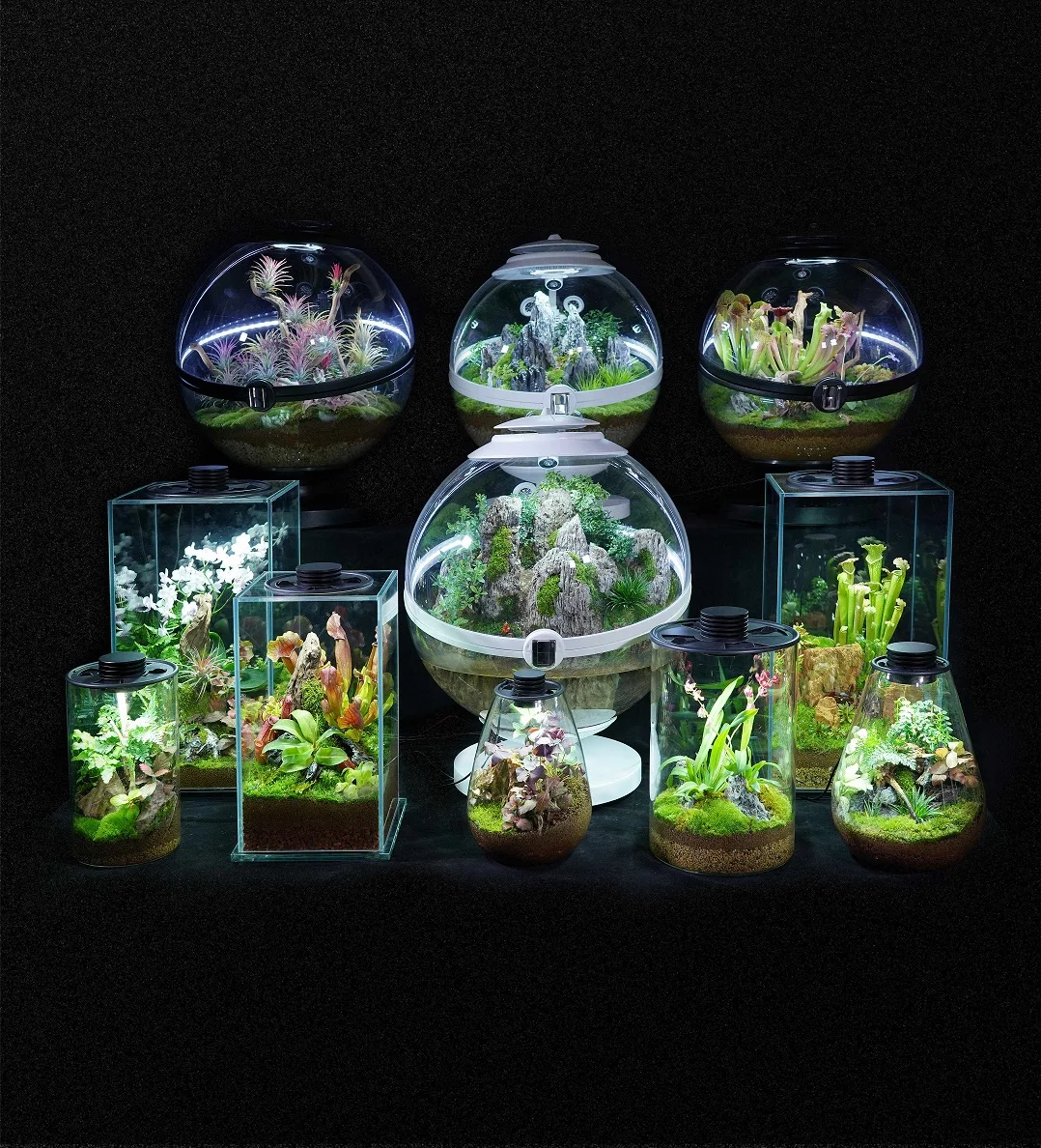 Biolark Sealed Glass Terrarium Bottle - Eco-Friendly Jar for Plant