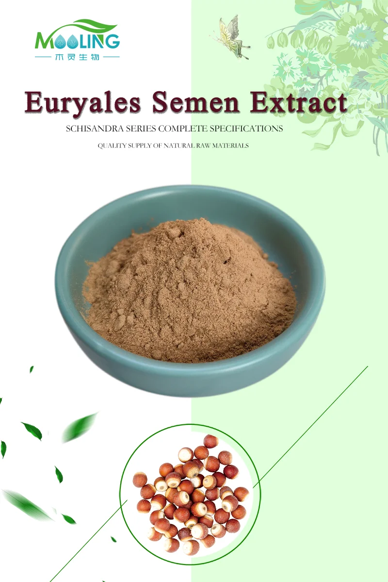 High Quality Natural Semen Euryale Ferox Seed Extract Powder Buy