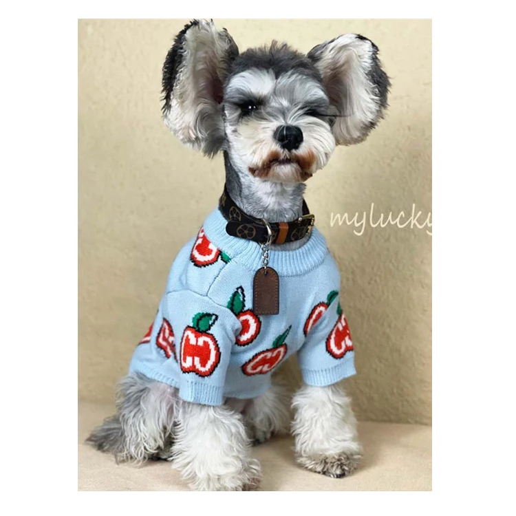 dog clothes designer