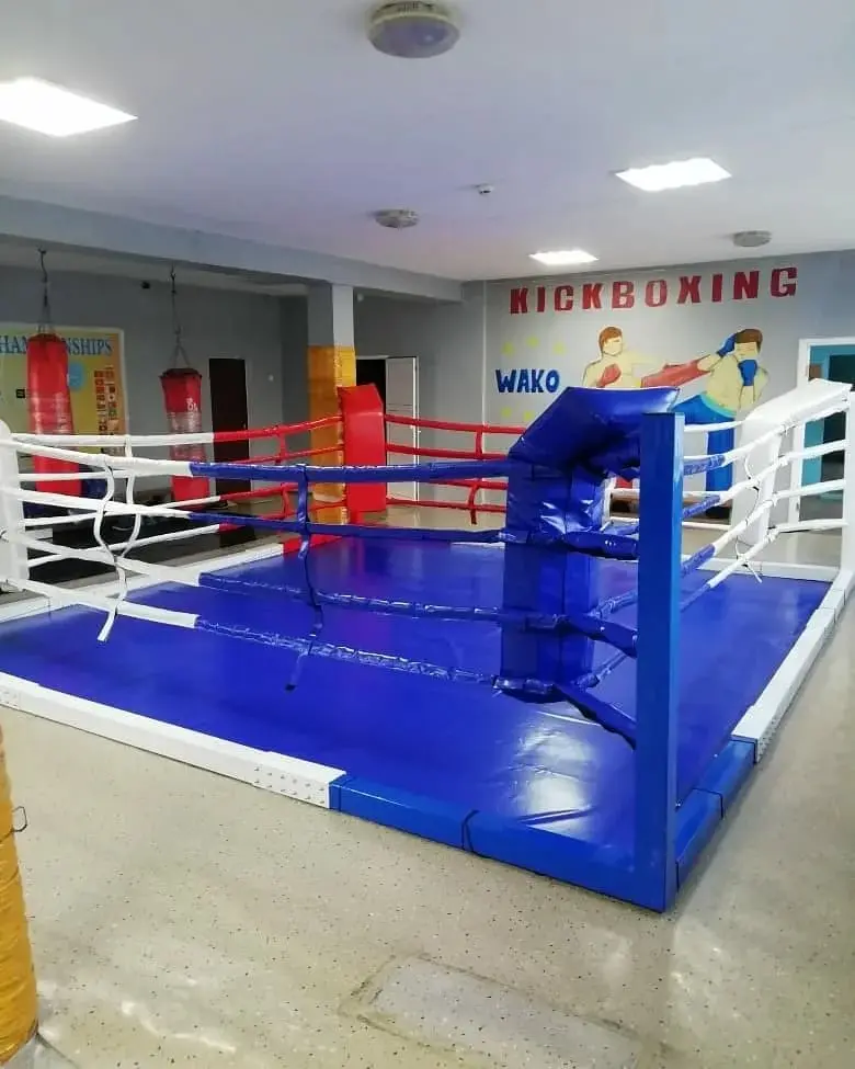 Amazon | タイトルボクシングリングゴング | Title Boxing