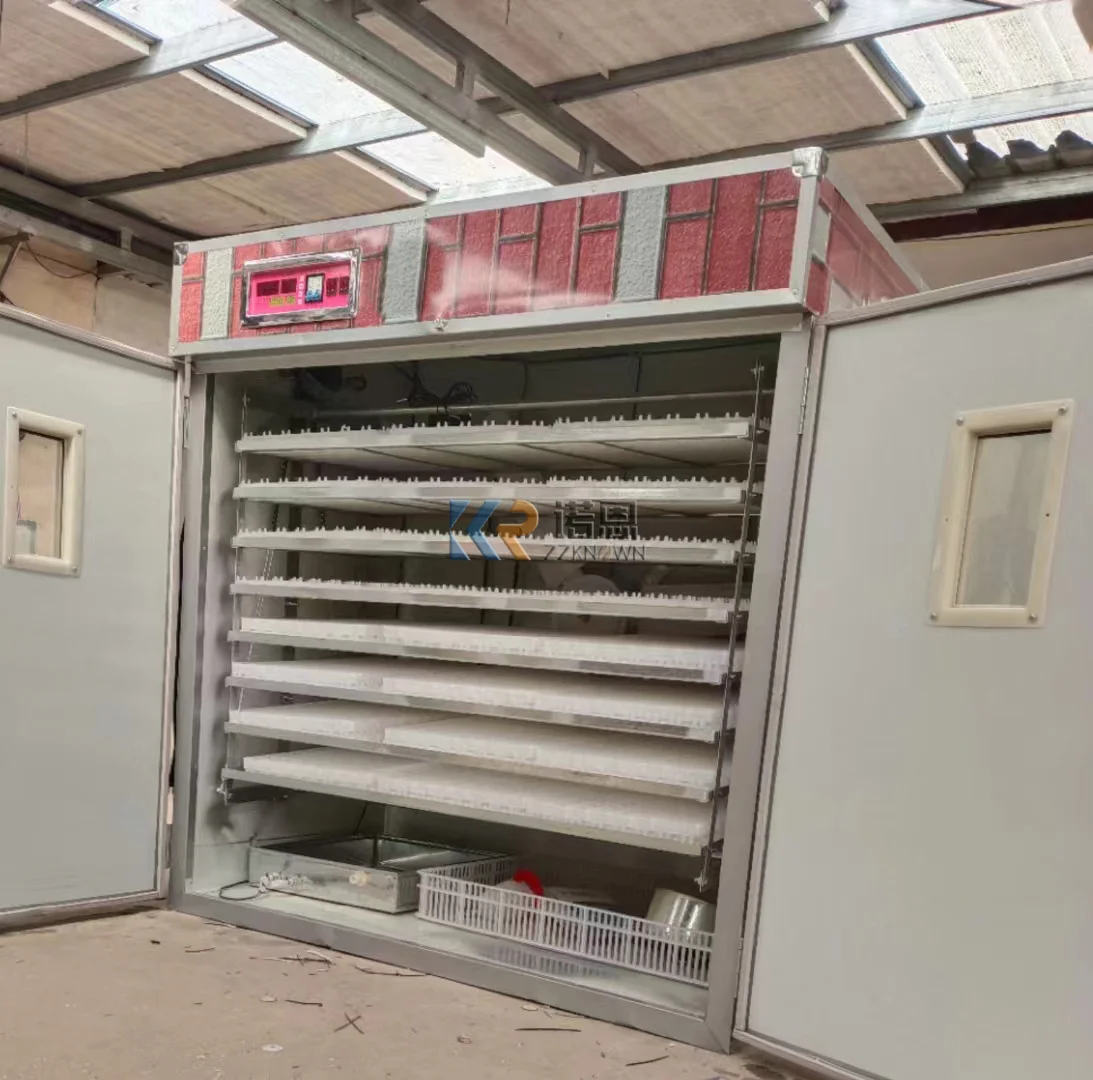 Factory High-accuracy Egg Incubator in Morocco Solar Automatic 150000