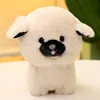 Bichon frise