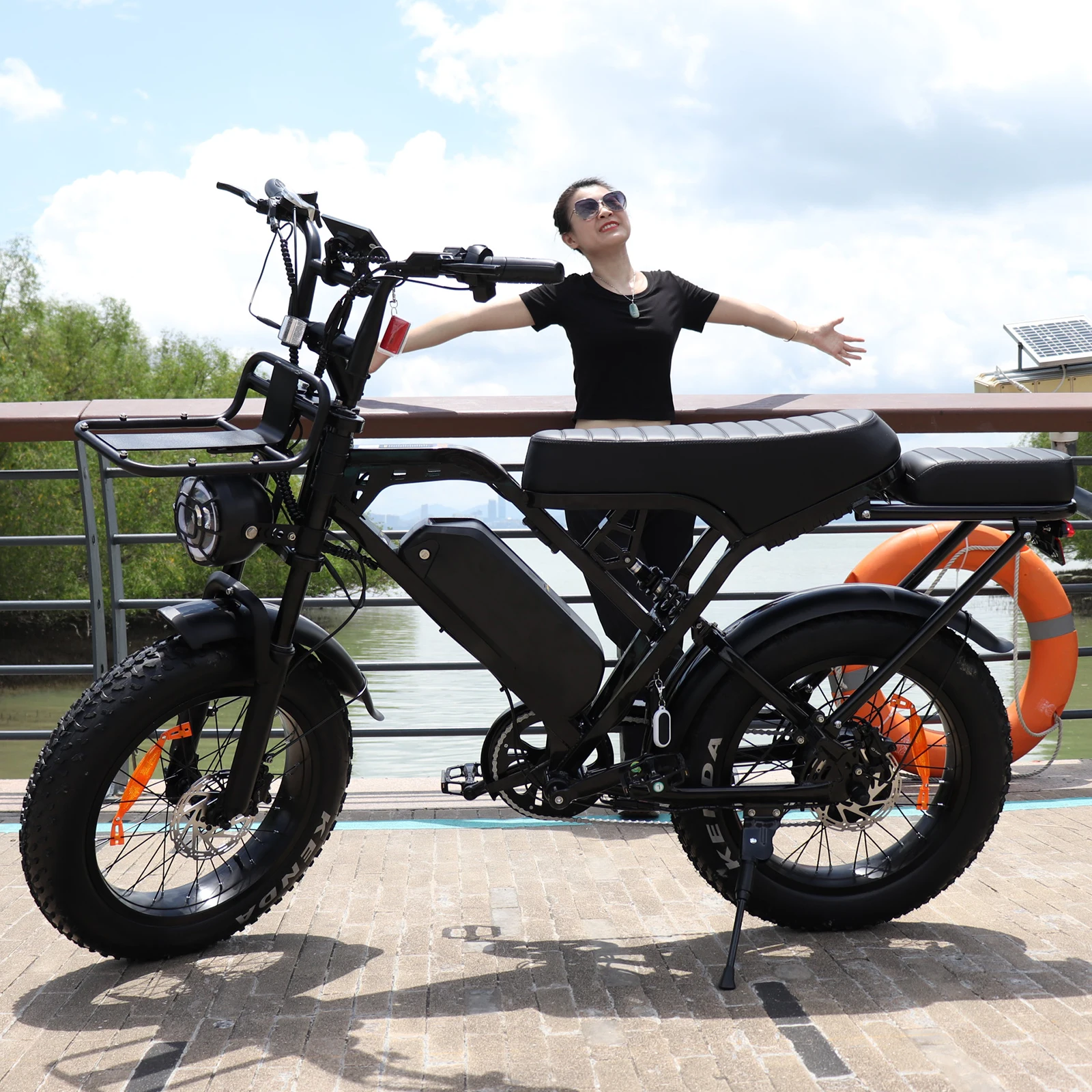 250W E-Bike 25 Km/hour Electric Bike with Battery