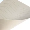 dotted line