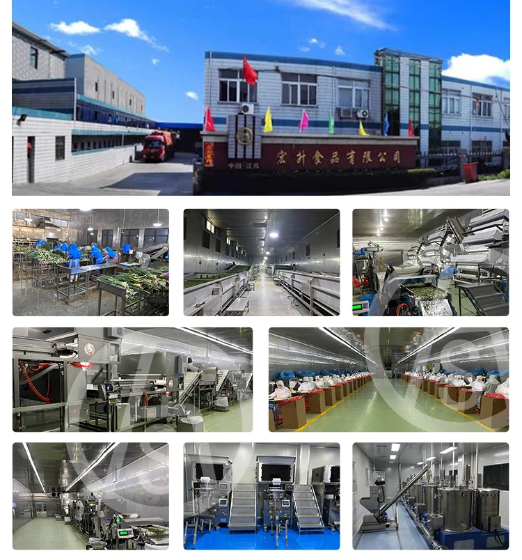 Dried White Onion Powder Fine Dehydrated Onion Powder Hot Air Dry Onion Powder Buy Dried White