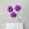 Rose de diamant sans feuilles