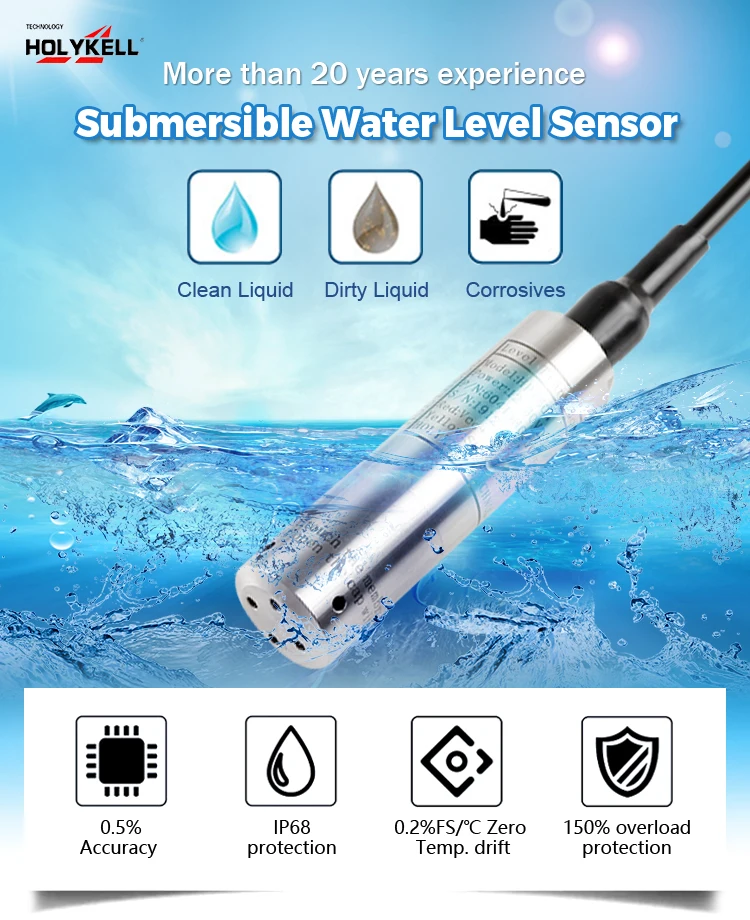 Holykell HPT604 Submersible Water Level Sensor Probe - Accurate ...