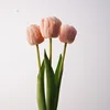 3 sticks to feel camellia tulip-orange