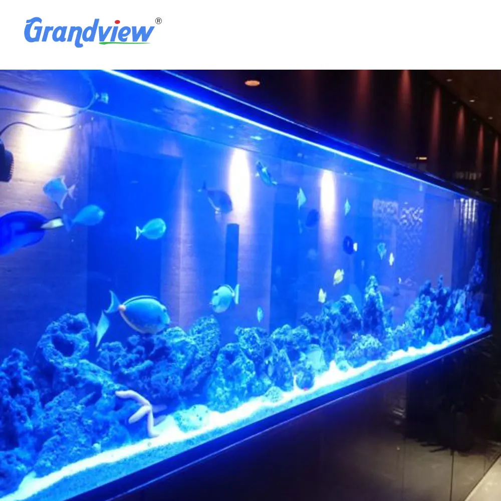 Grandview Oval Shape Custom Size Large Acrylic Aquarium Fish Tank