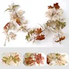 Pure maple leaf plastic vine QT560180