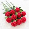 Rosa rossa