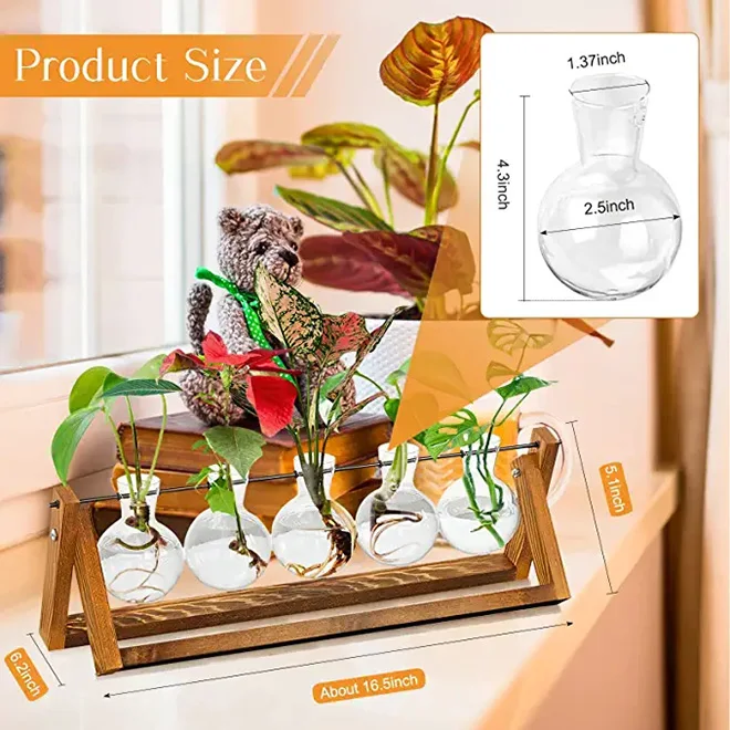 Desktop Hydrokultur-Vase Mit Katzen-Ständer – Glas & Metall, Gold, Für Sukkulenten & Pflanzen-Deko